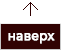 Наверх